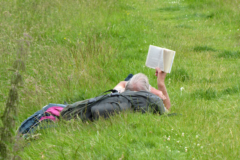 Book reader in Hay