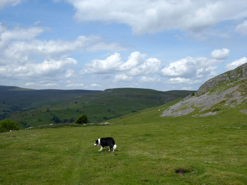 Cock Crow Scar