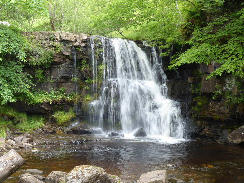 East Gill Force