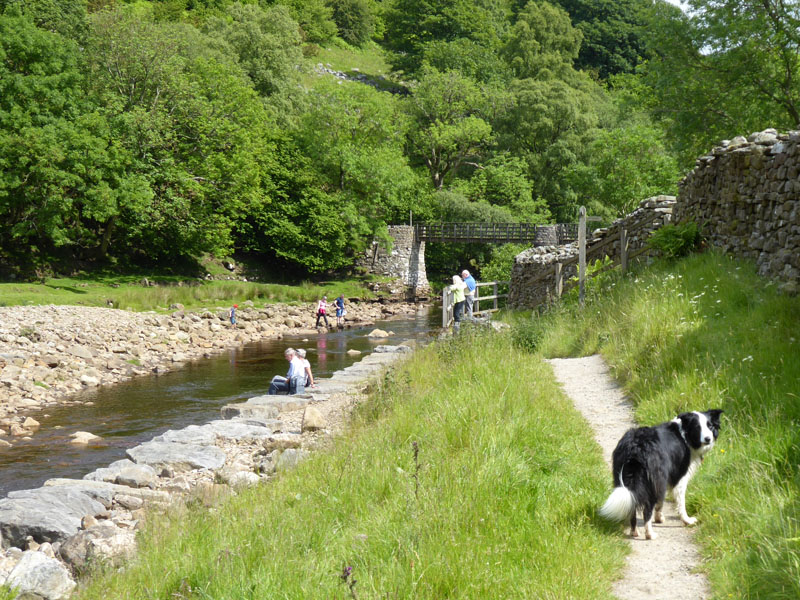 Molly and The Swale