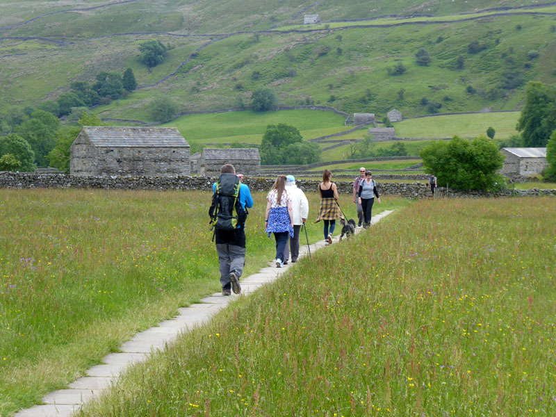 Meadow Marchers