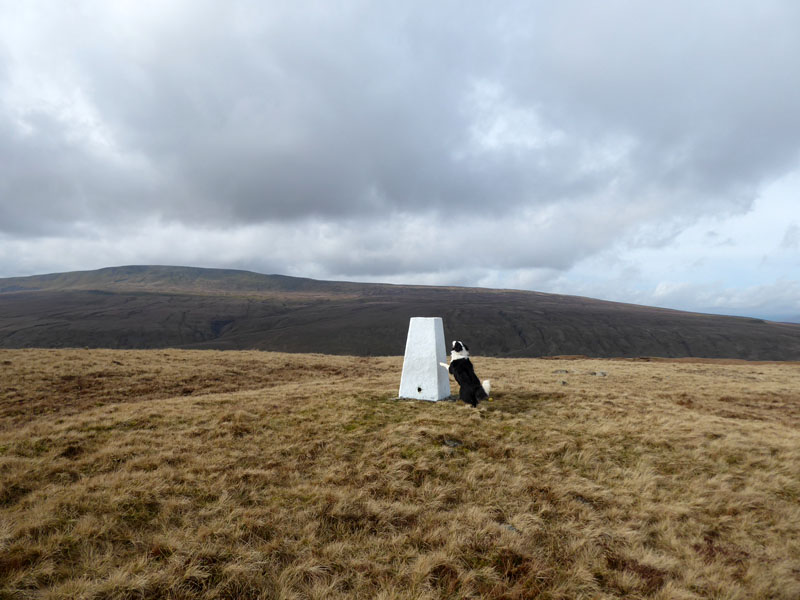 Molly Blea Moor