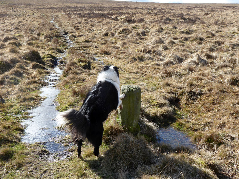 Boundary Stones