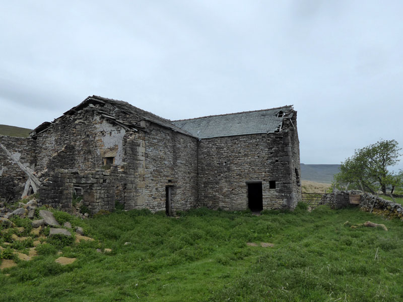 High Shaw Paddock