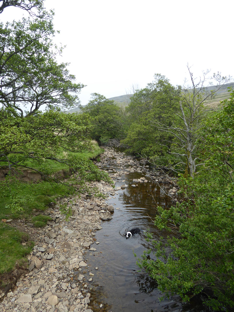 River Eden