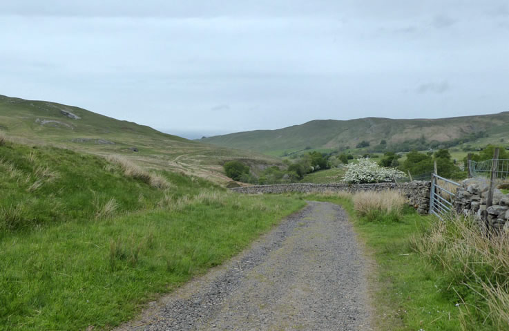 Birkett Common