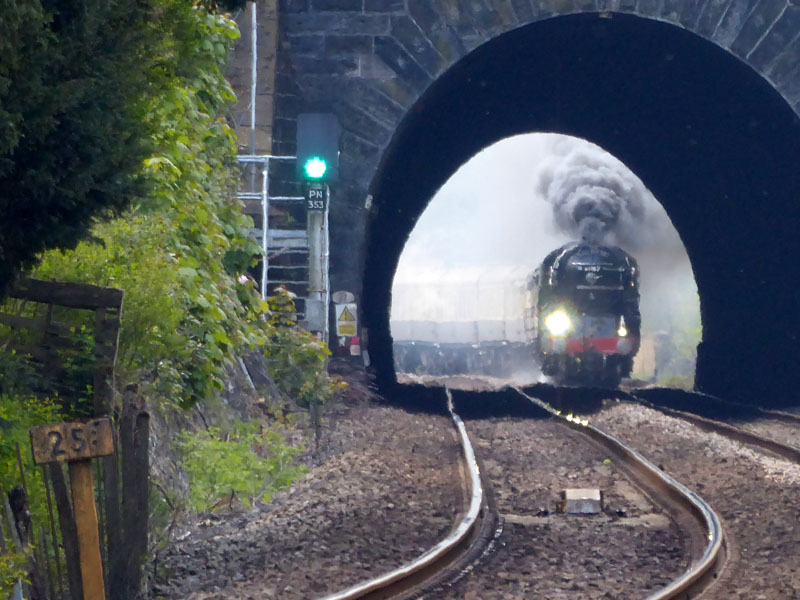 Tornado Steam