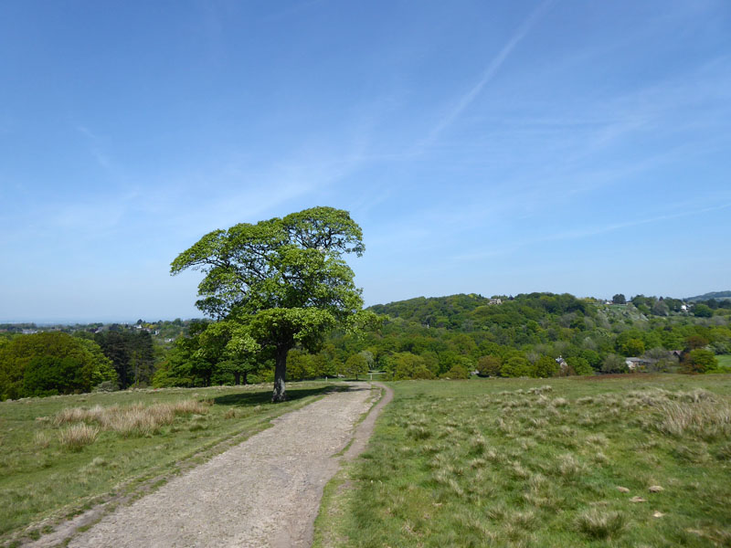 Lyme Park