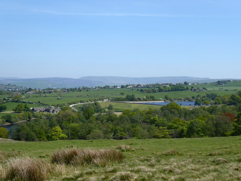 Lyme Park View