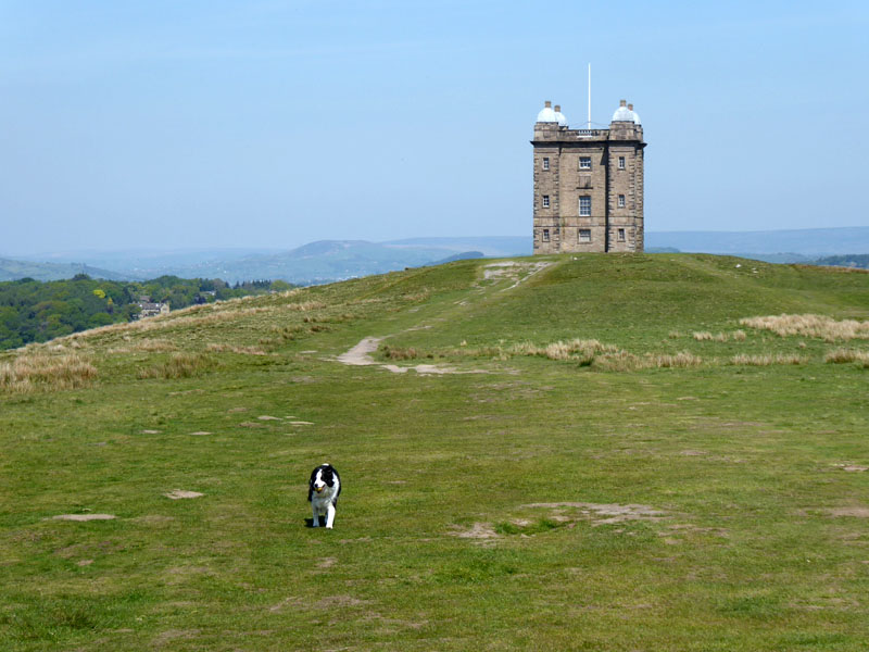 Cage Lyme Park