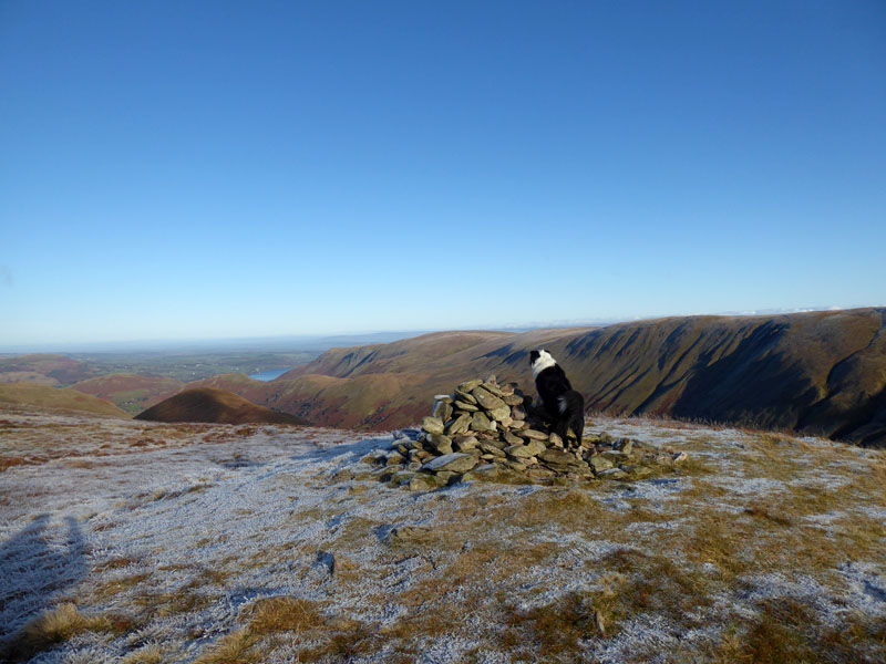 Rest Dodd Summit