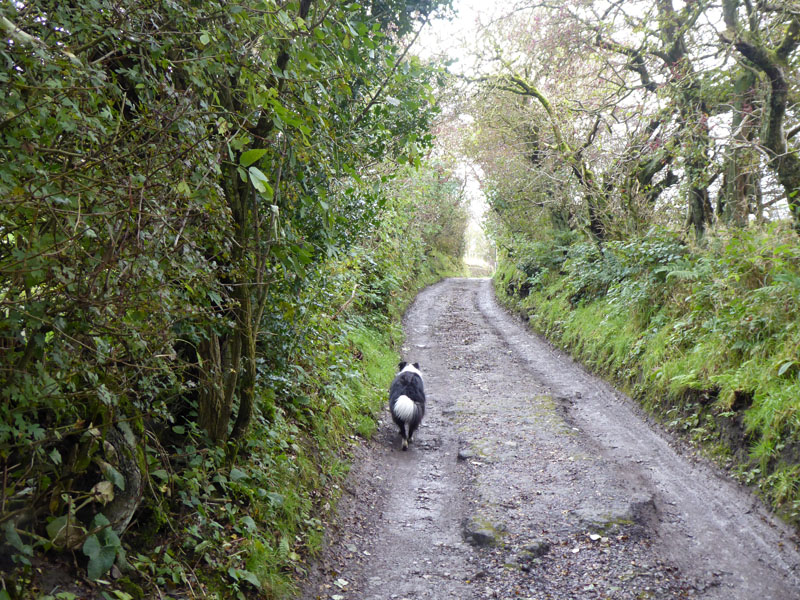 Dark Lane Oxenhope