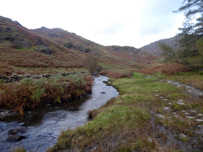 Far Easedale