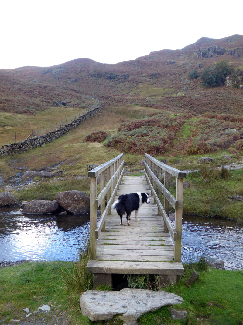 Stythwaite Steps