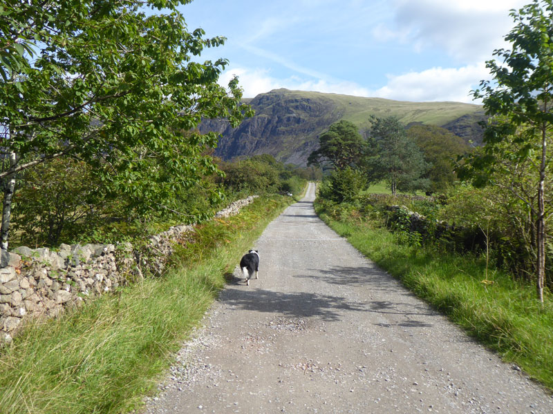 to Easthwaite Farm