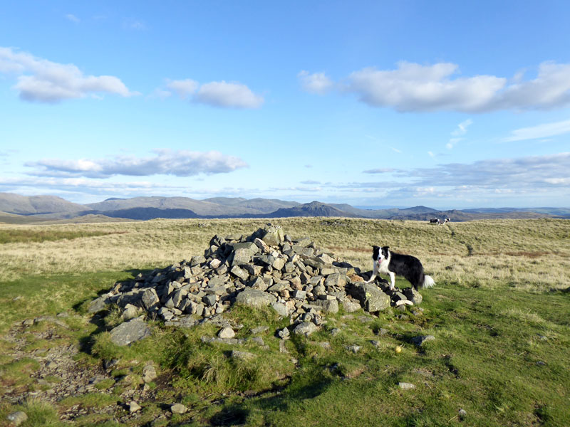 Molly Illgill Head