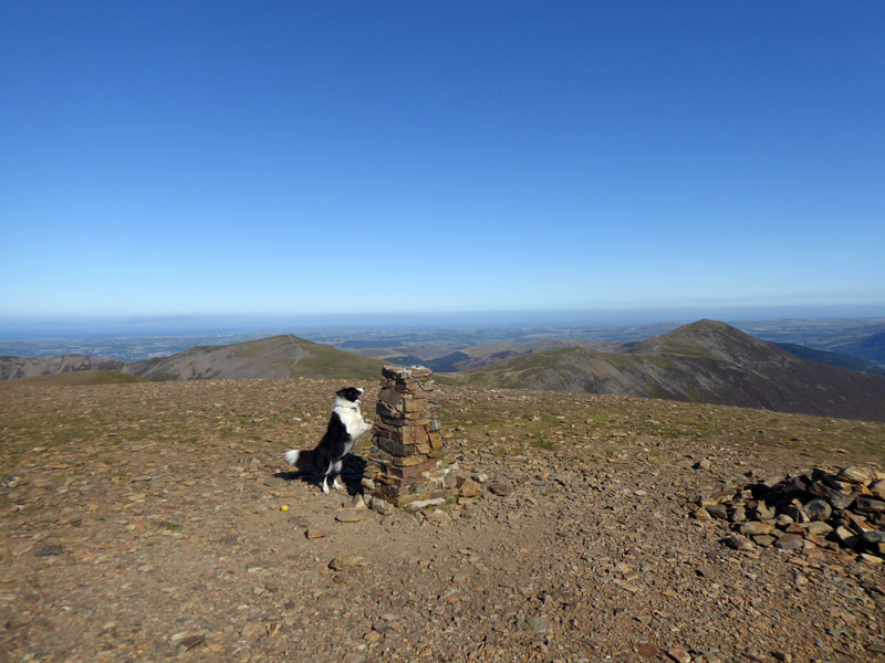 Molly Eel Crag