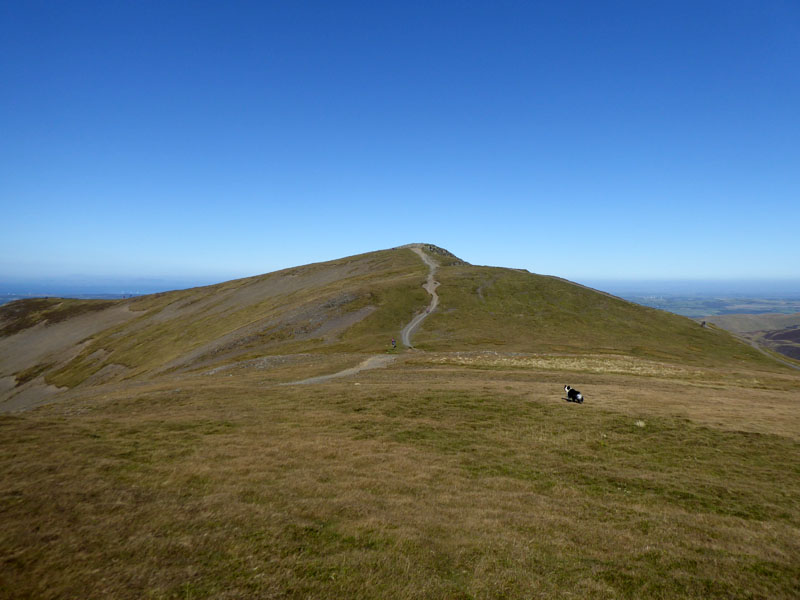 Hopegill Head