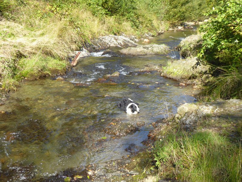 Coledale Beck