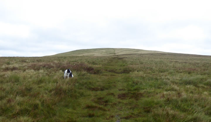 Seatallan ascent