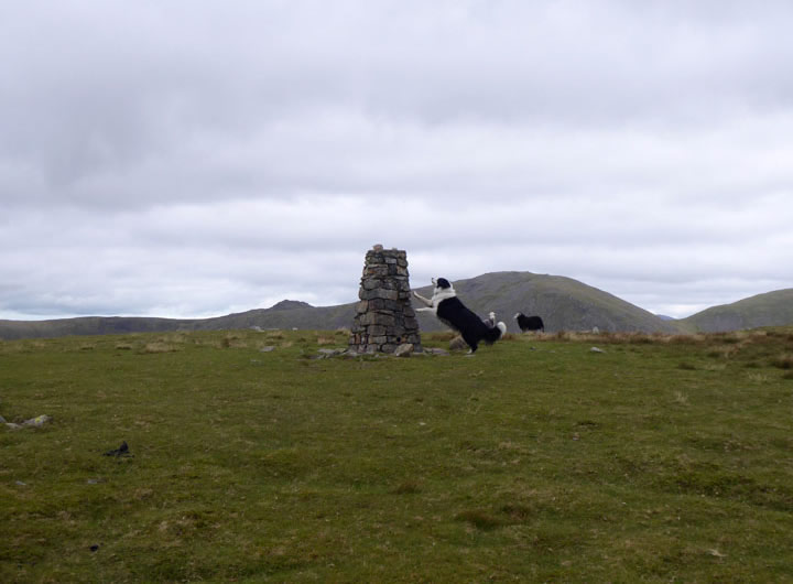 Seatallan Summit