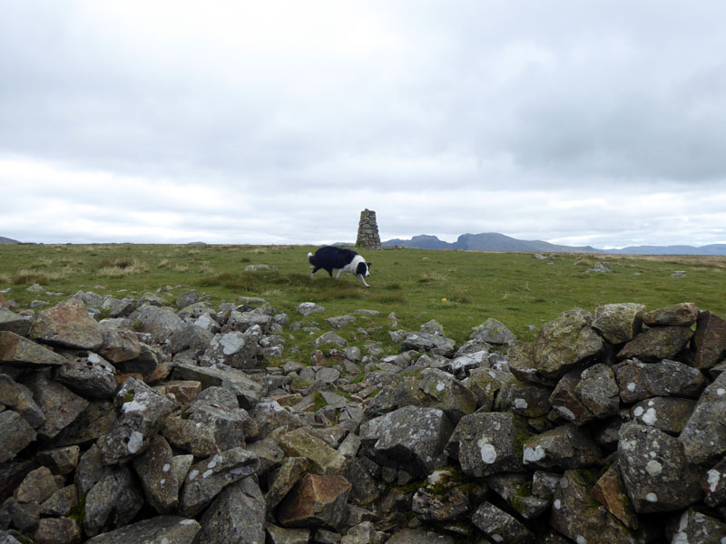 Seatallan Summit