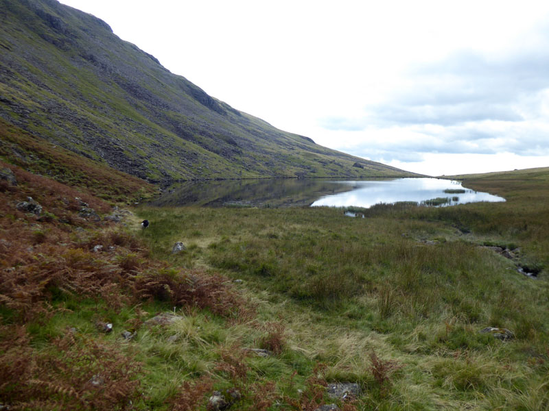 Greendale Tarn