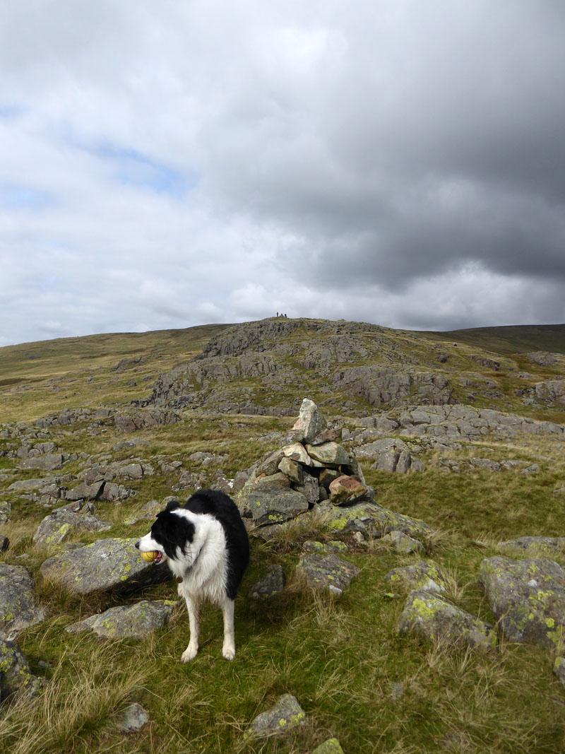 Buckbarrow Summit