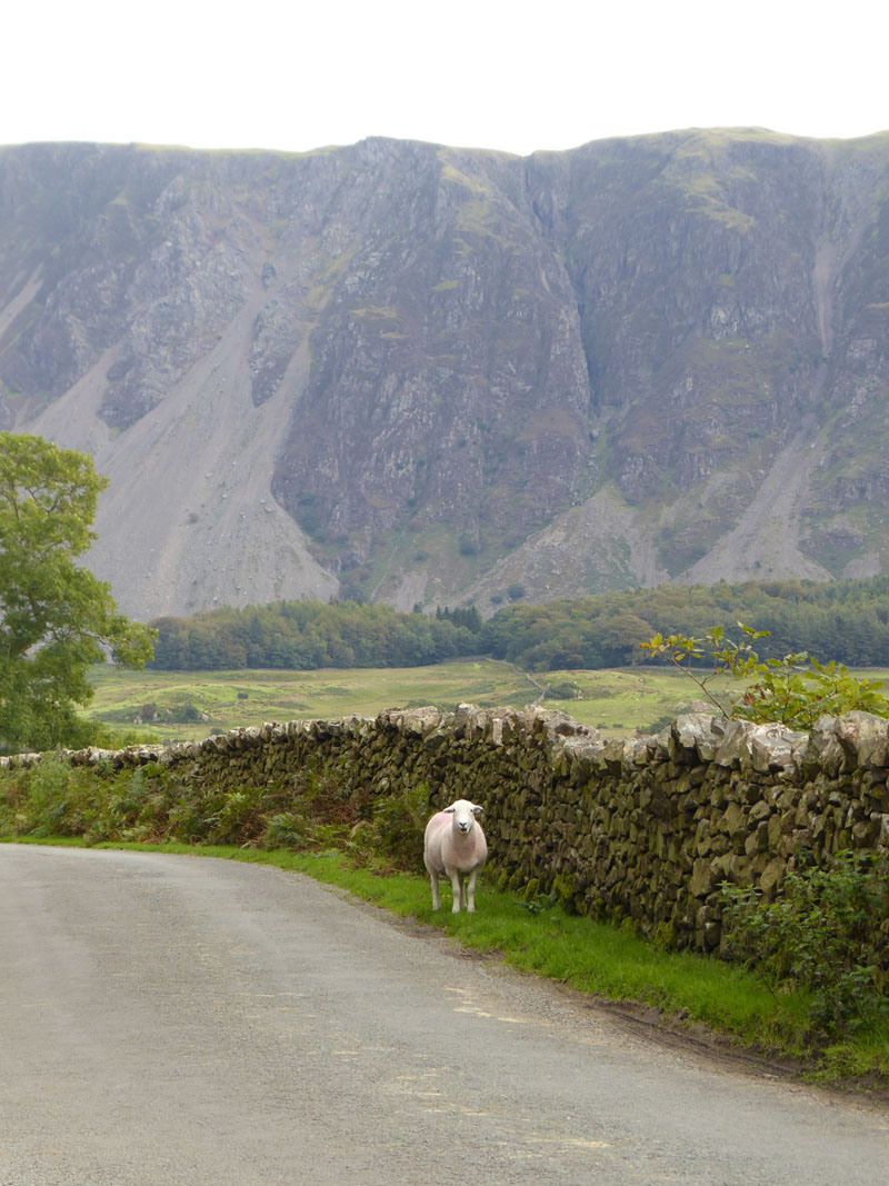 Wastwater Screes