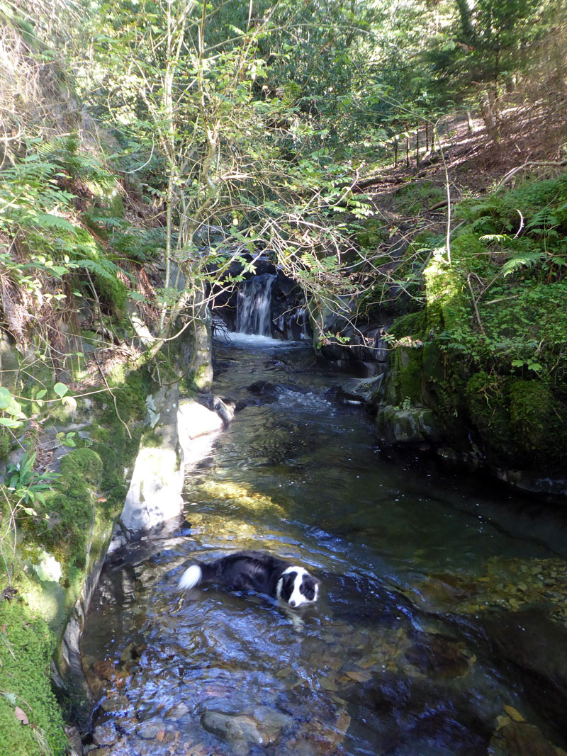 Mill Beck