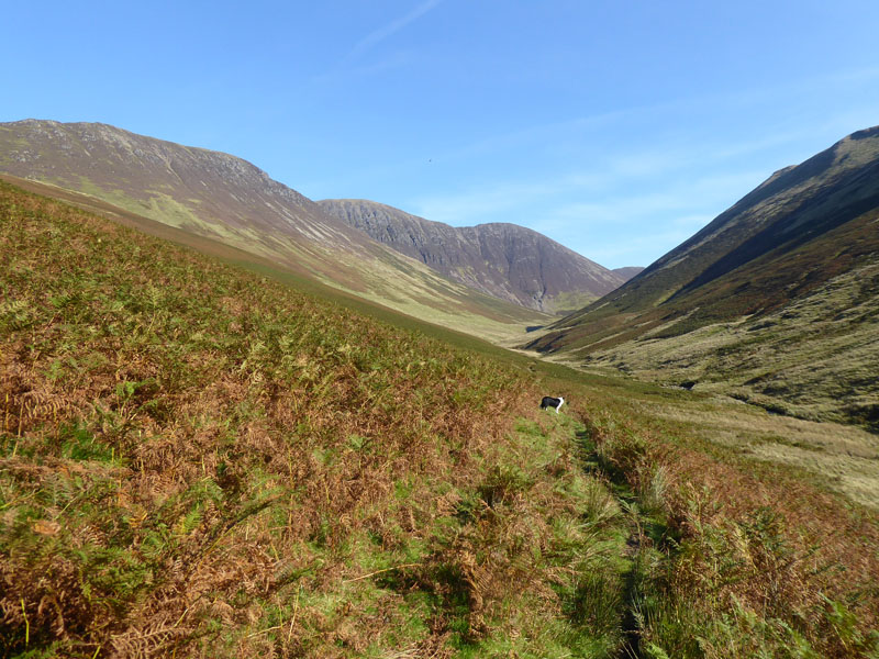 Sail Beck