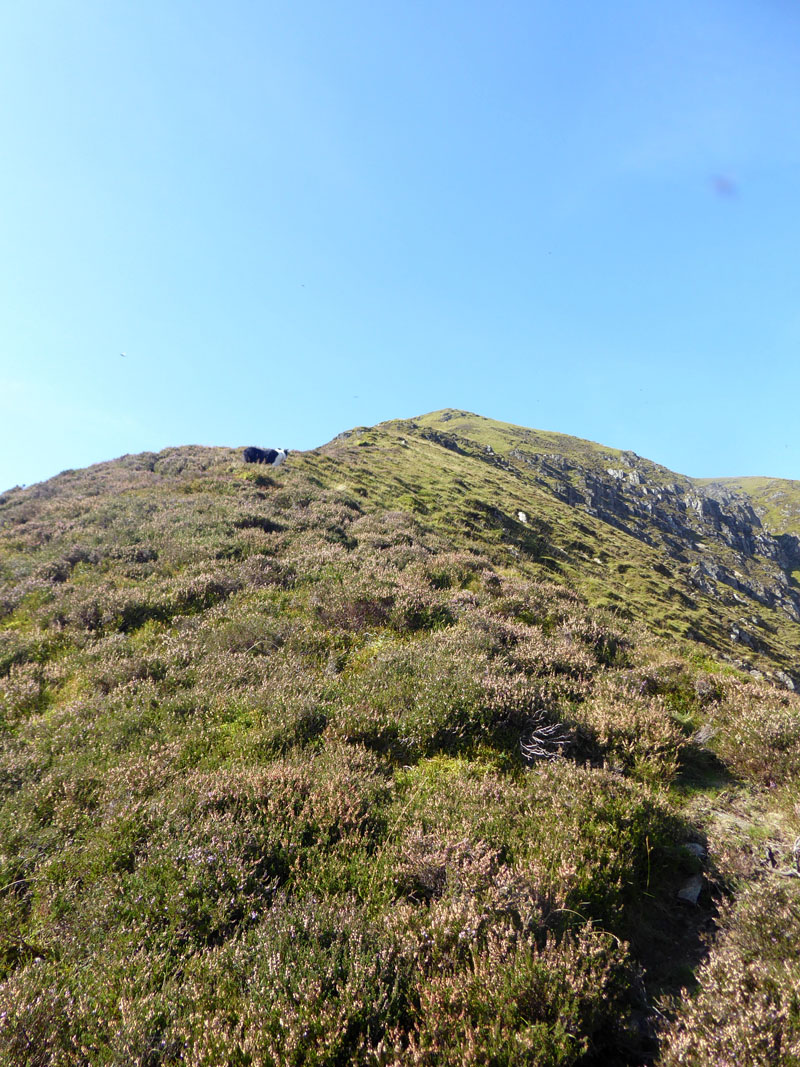 Addacomb Ascent