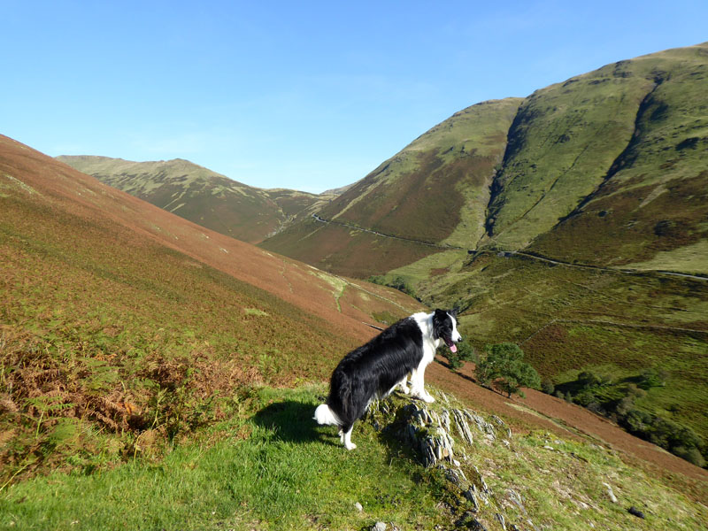 Mill Beck