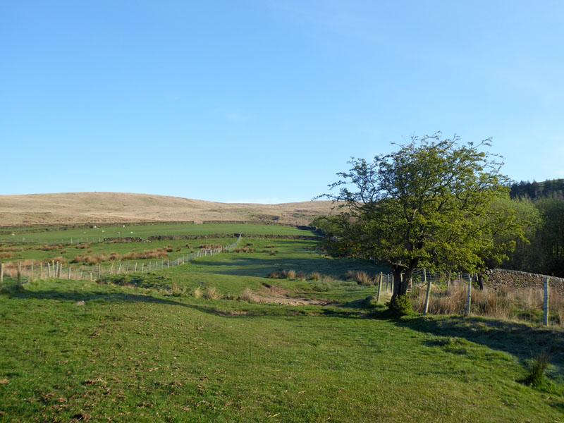 Badger Well Water