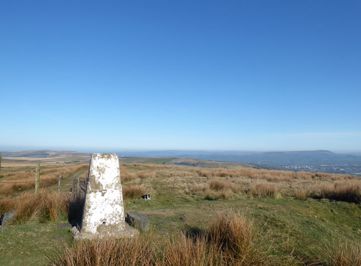 Thieveley Pike Summit