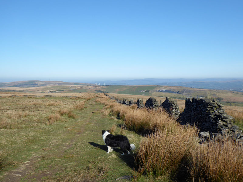 Deerplay Moor