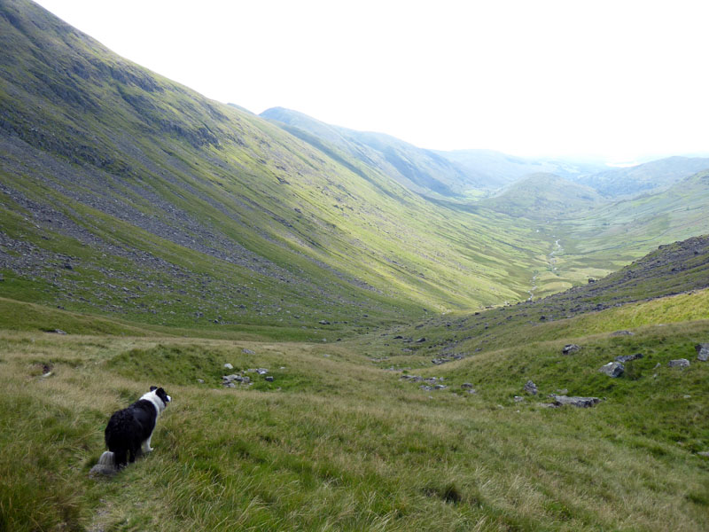 Trout Beck