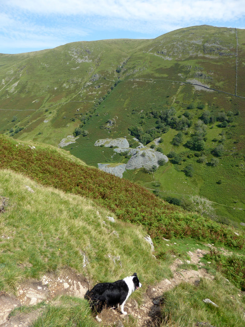 Quarries