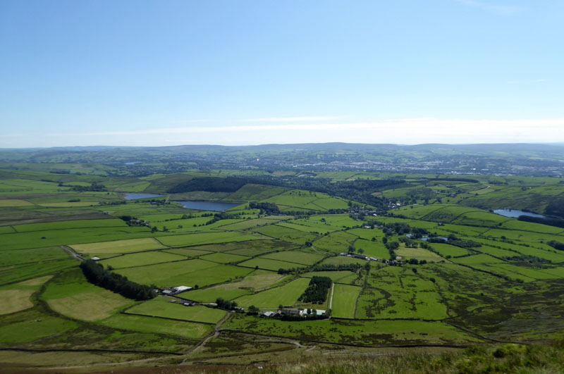 Barley Fields