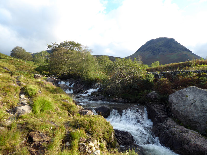 Nether Beck