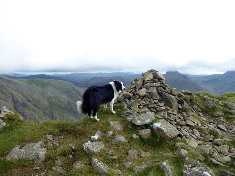 Molly Red Pike Summit