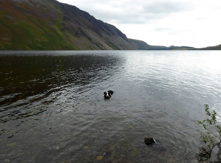 Wastwater