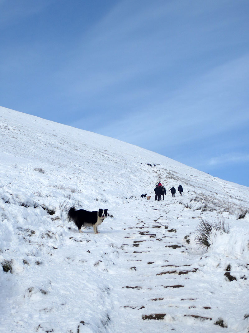 Pendle Steps