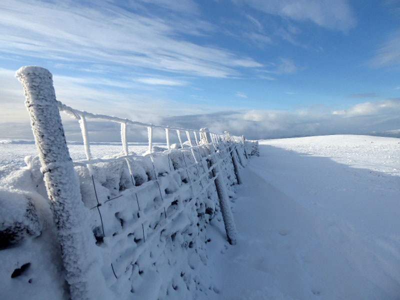 Pendle Fence