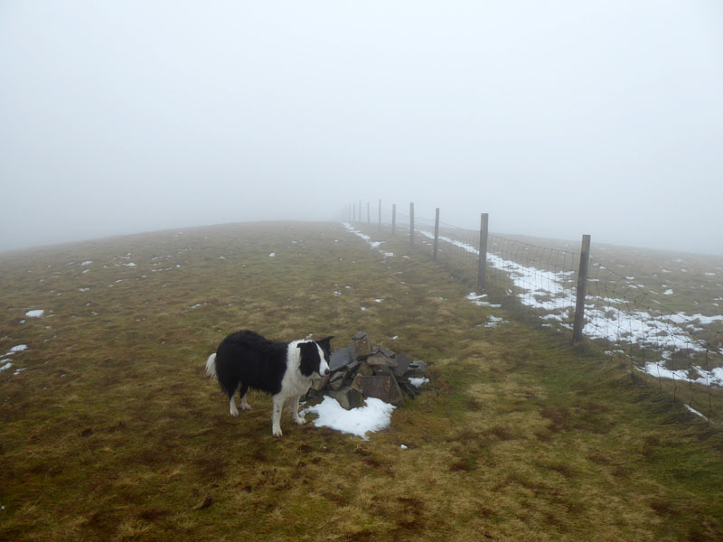 Molly Burnbank Fell