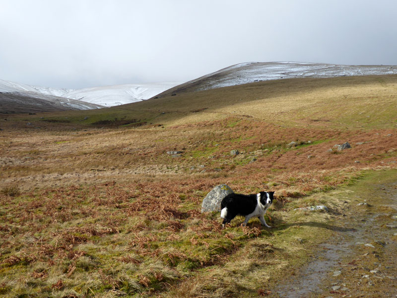 Carrock Beck