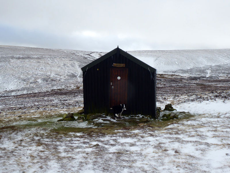 Lingy Hut