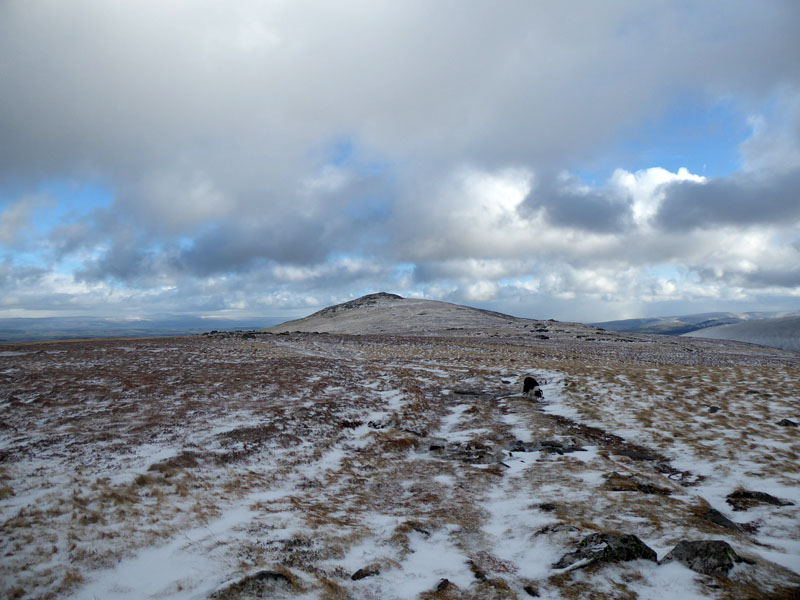 Frozen Landscape