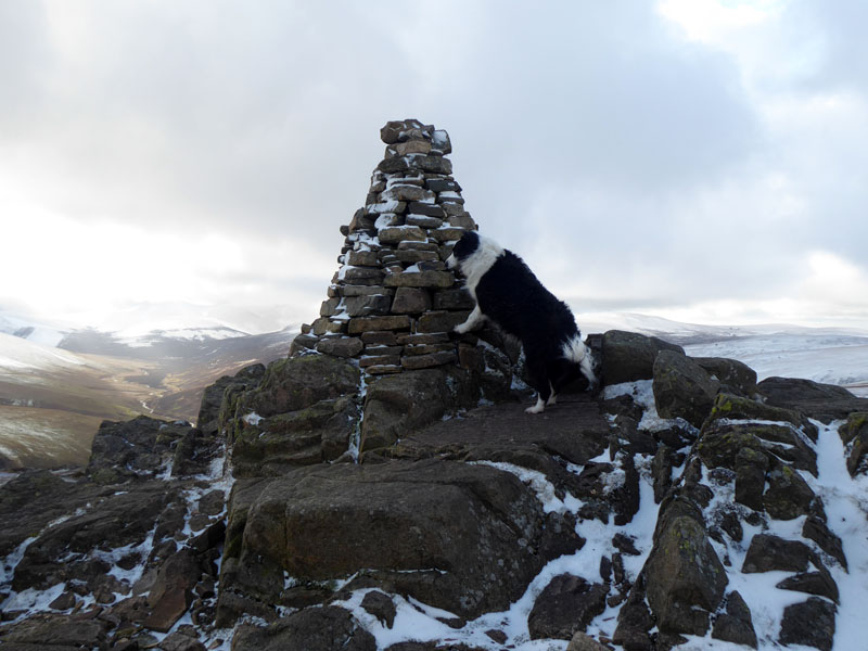 Molly Carrock Fell