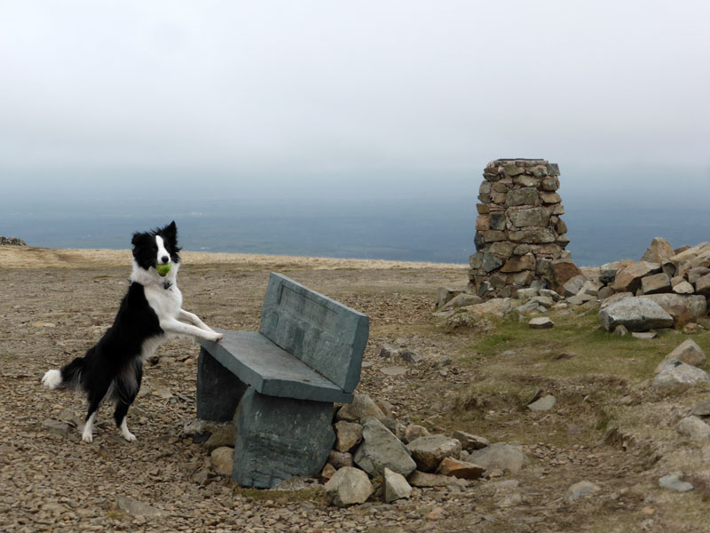 Molly High Pike
